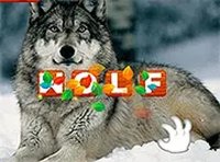 Puzzle for Kids: Safari Online Game