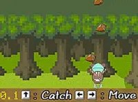 Yanmi Catch Acorns Online Game