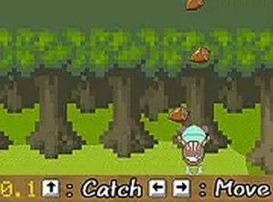 Yanmi Catch Acorns Online Game